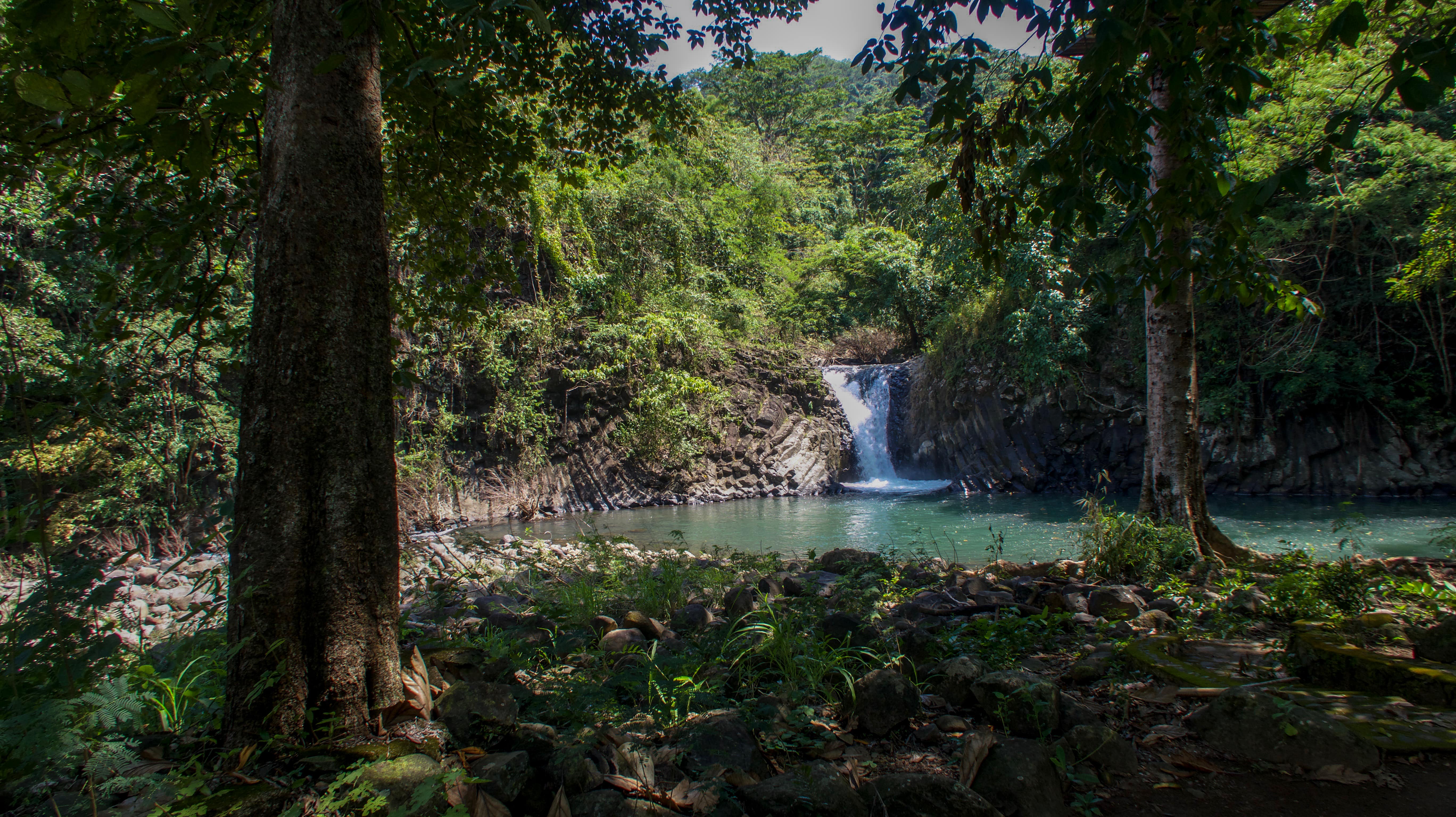 dunsulan falls and trees in bataan philippines